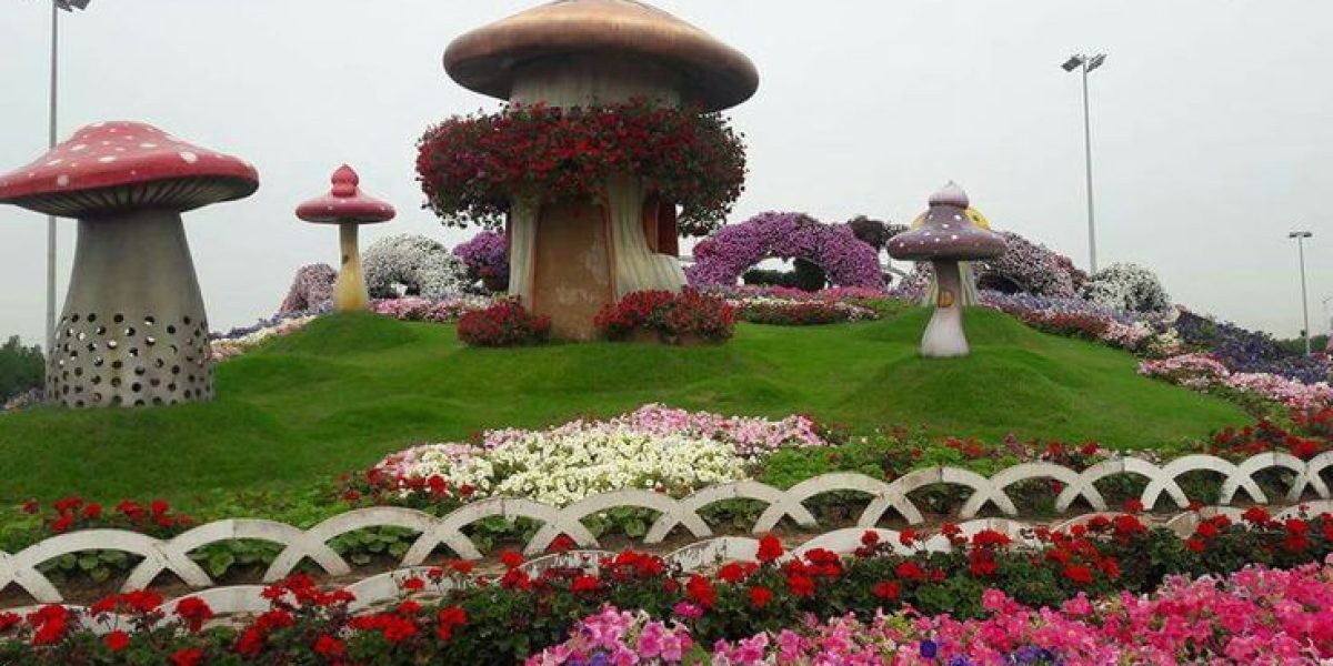 גן הפרחים בדובאי