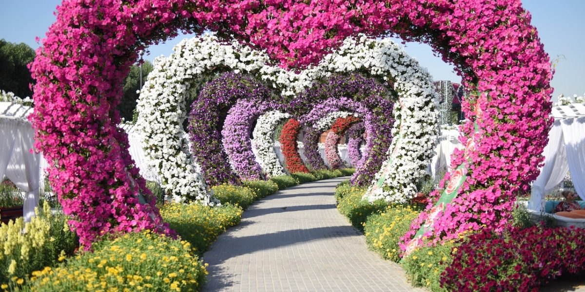 גן הפרחים בדובאי