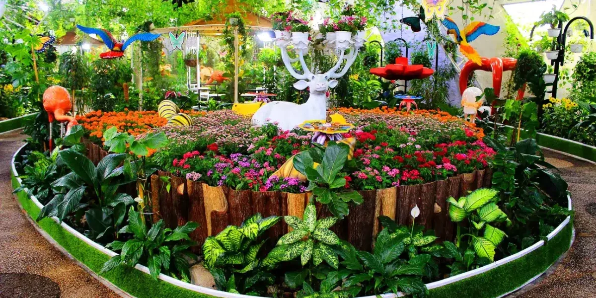 גן הפרפרים בדובאי